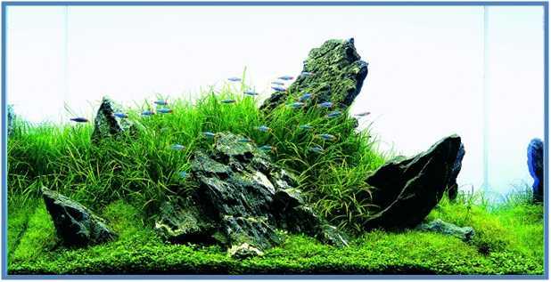 Ornamen-Ornamen Aqauscape