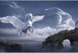 Unicorn - Pegasus