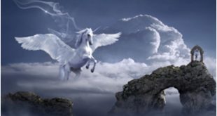 Unicorn - Pegasus