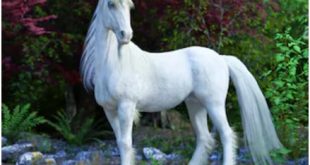 Unicorn-merupakan-hewan-mitos-yang-langka