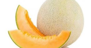Lengkap; Manfaat dan Kandungan Buah Melon Untuk Kesehatan