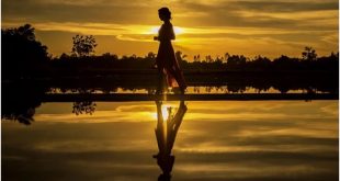 Simple Happiness (Bagian II) - Pixabay