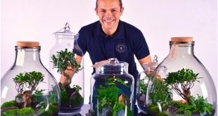 Terrarium image by Terravivadesign